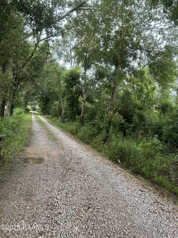 $115,000 | Tbd Bienville Road, Ville Platte, LA 70586