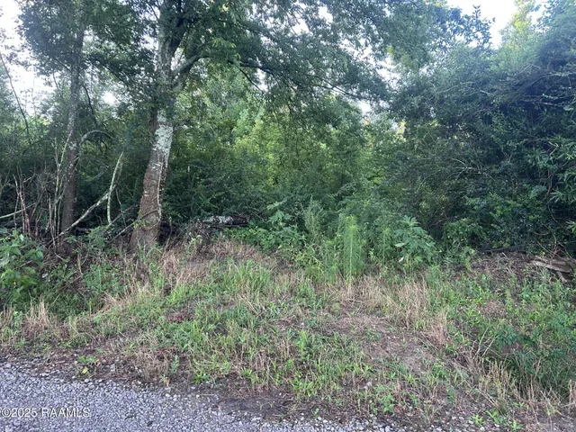 $115,000 | Tbd Bienville Road, Ville Platte, LA 70586
