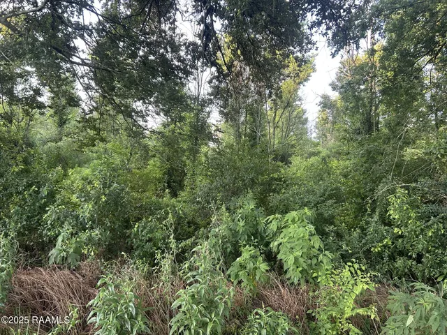 $115,000 | Tbd Bienville Road, Ville Platte, LA 70586