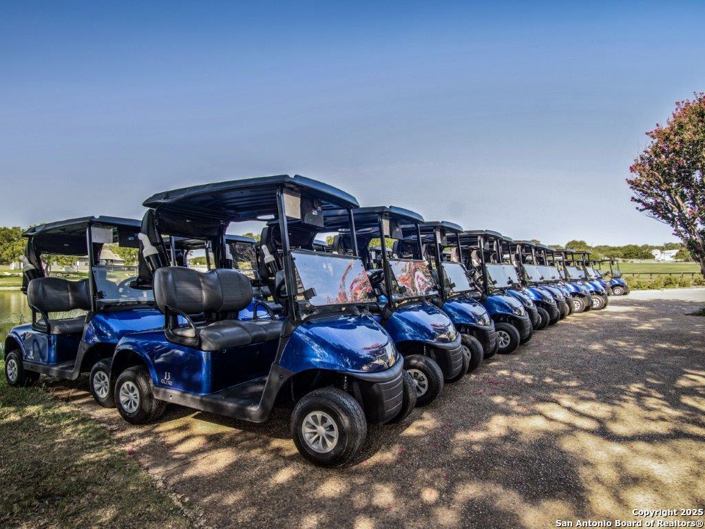 224 Hiram Cook Blanco, TX 78606 - Photo 14 of 21