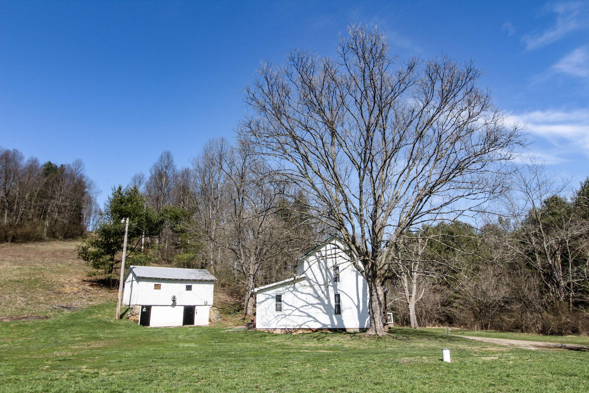 39353 Walnut Camp Road Sardis, OH 43946 - Photo 25 of 42 25-IMG_8159