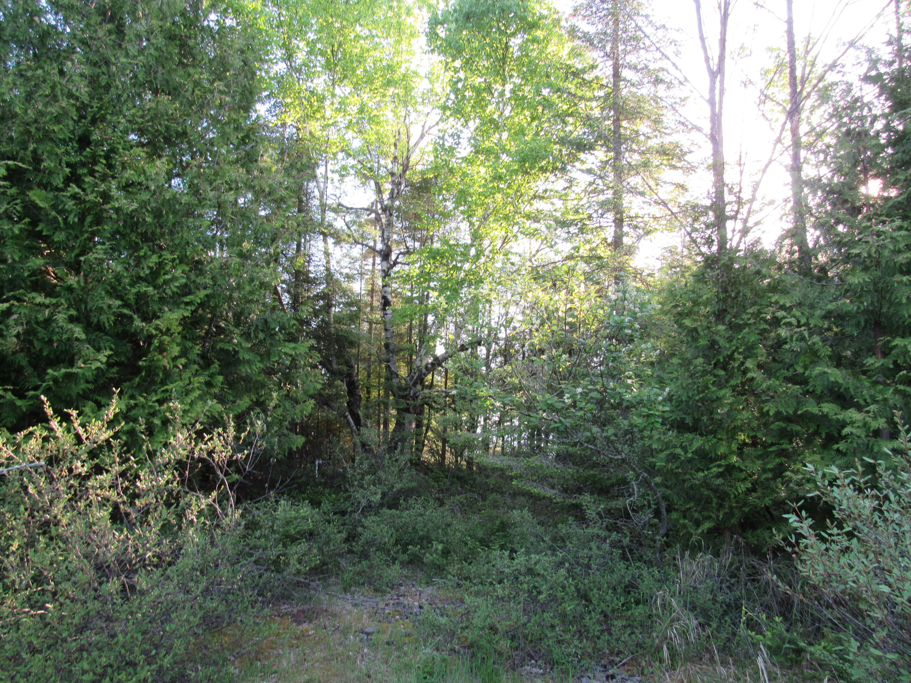 West Lappan Road Alpena, MI 49707 - Photo 6 of 14 Gallery Image 6