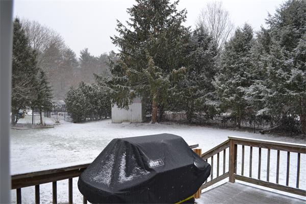 11 Old Farm Road Mansfield, MA 02048 - Photo 20 of 29 Gallery Image 20