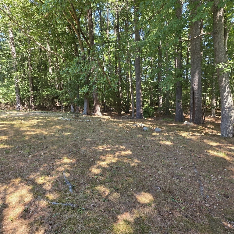 109 Richard Road Hanson, MA 02341 - Photo 22 of 23 Gallery Image 22