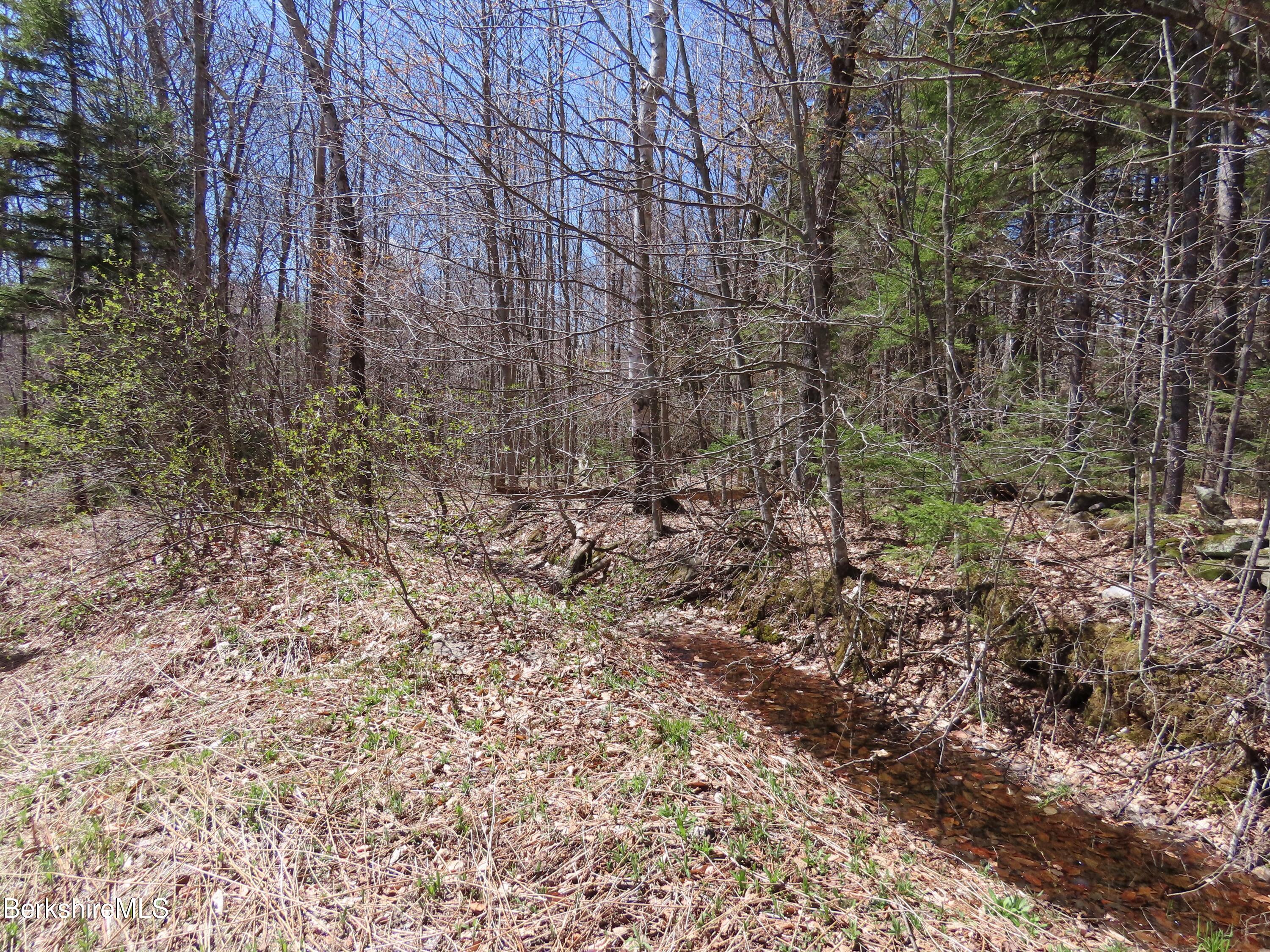Blackstone Road North Adams, MA 01247 - Photo 11 of 16 a view of a yard with plants and trees