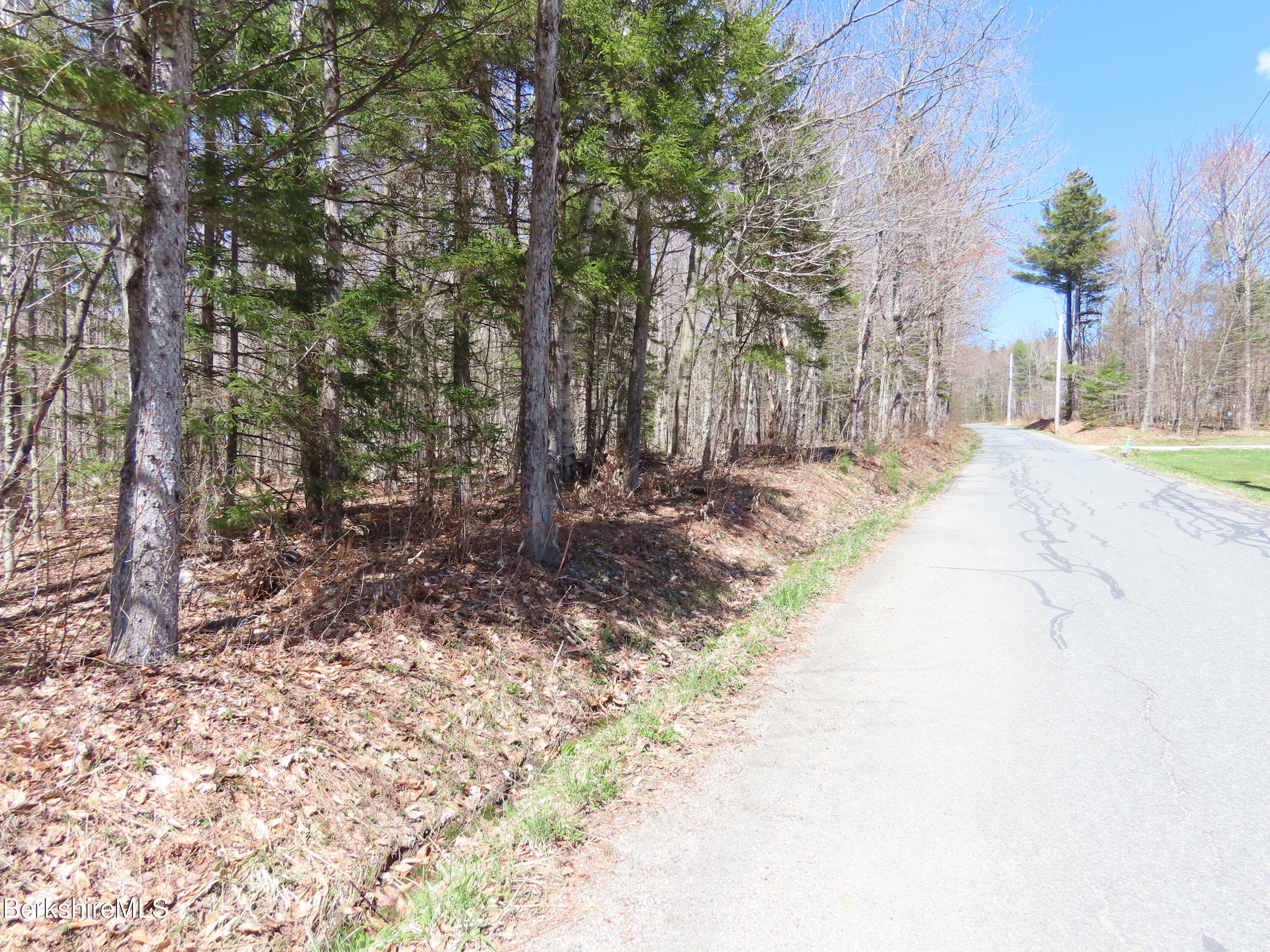 Blackstone Road North Adams, MA 01247 - Photo 15 of 16 a street view with large trees
