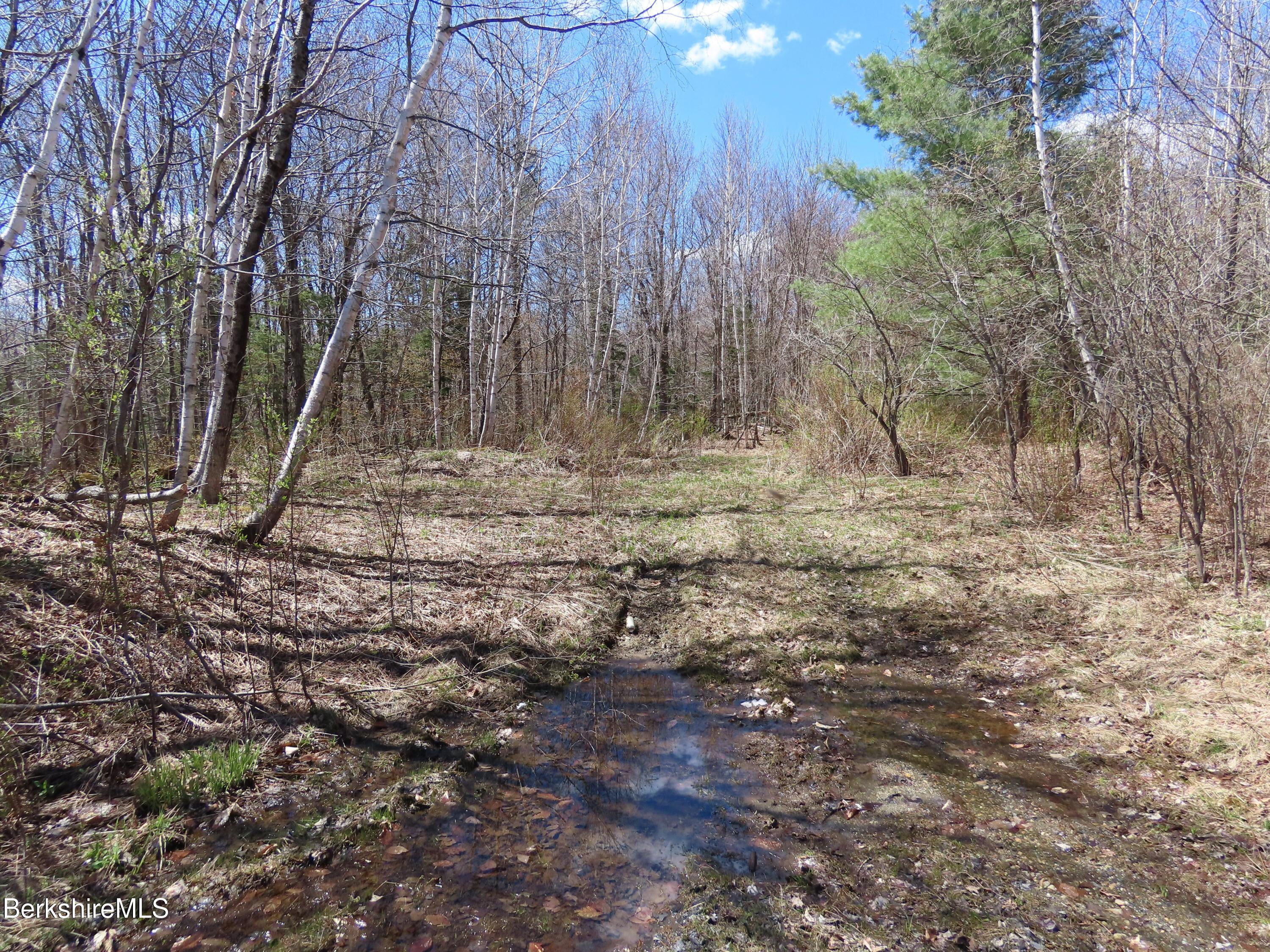 Blackstone Road North Adams, MA 01247 - Photo 3 of 16 a view of a backyard with large trees