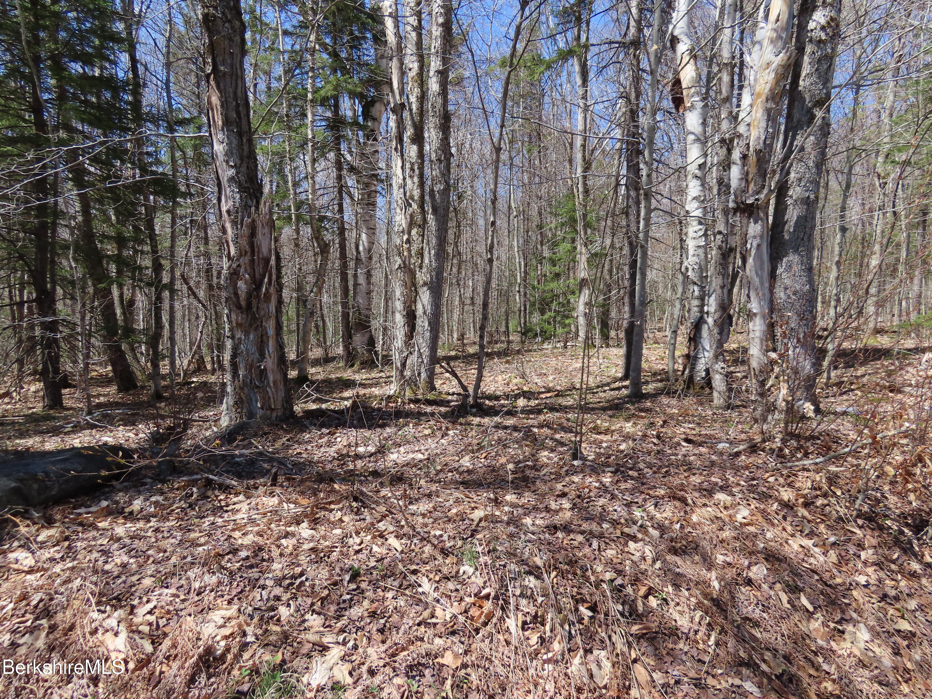 Blackstone Road North Adams, MA 01247 - Photo 4 of 16 a view of backyard with green space