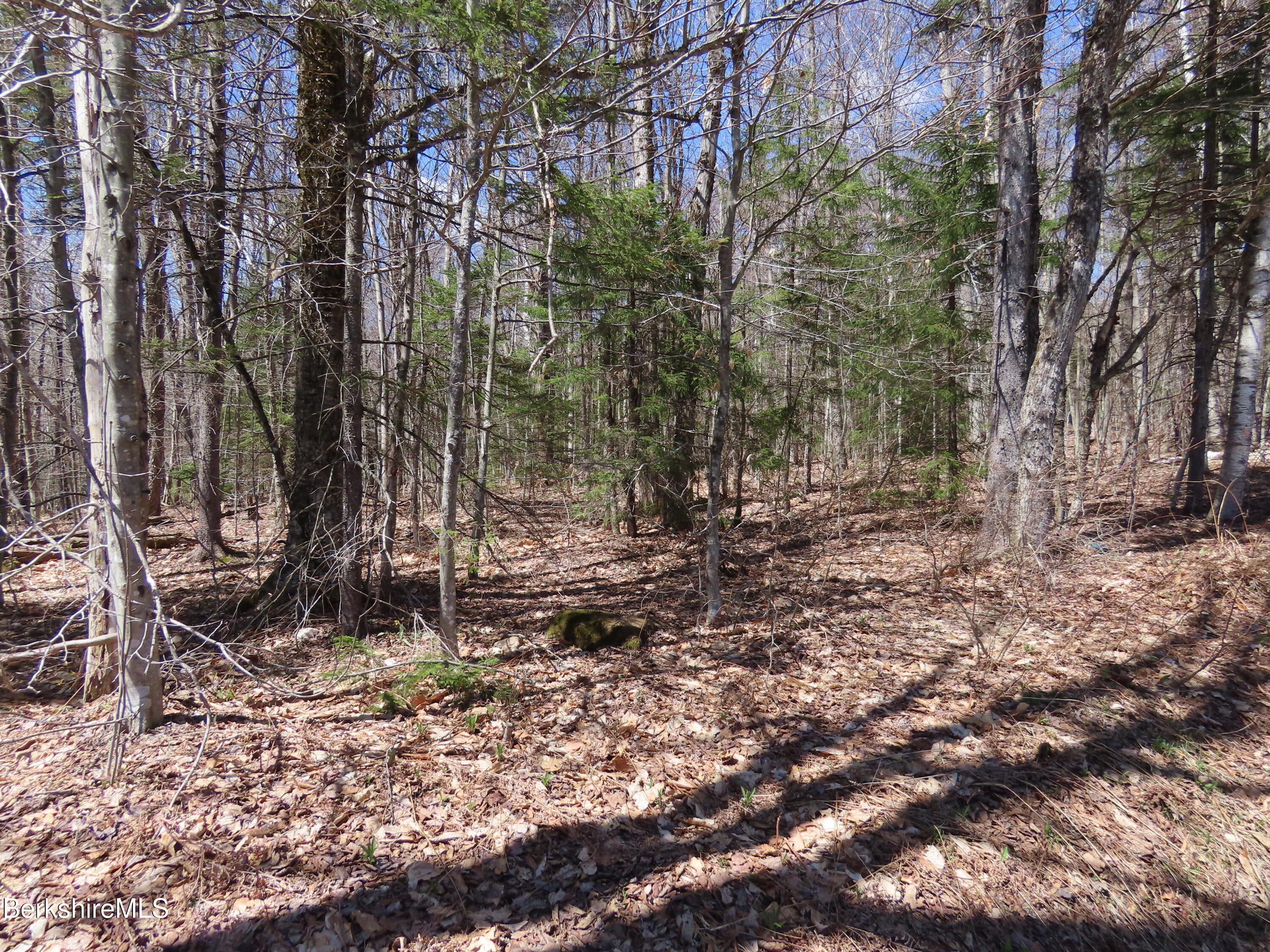 Blackstone Road North Adams, MA 01247 - Photo 5 of 16 a view of outdoor space with trees