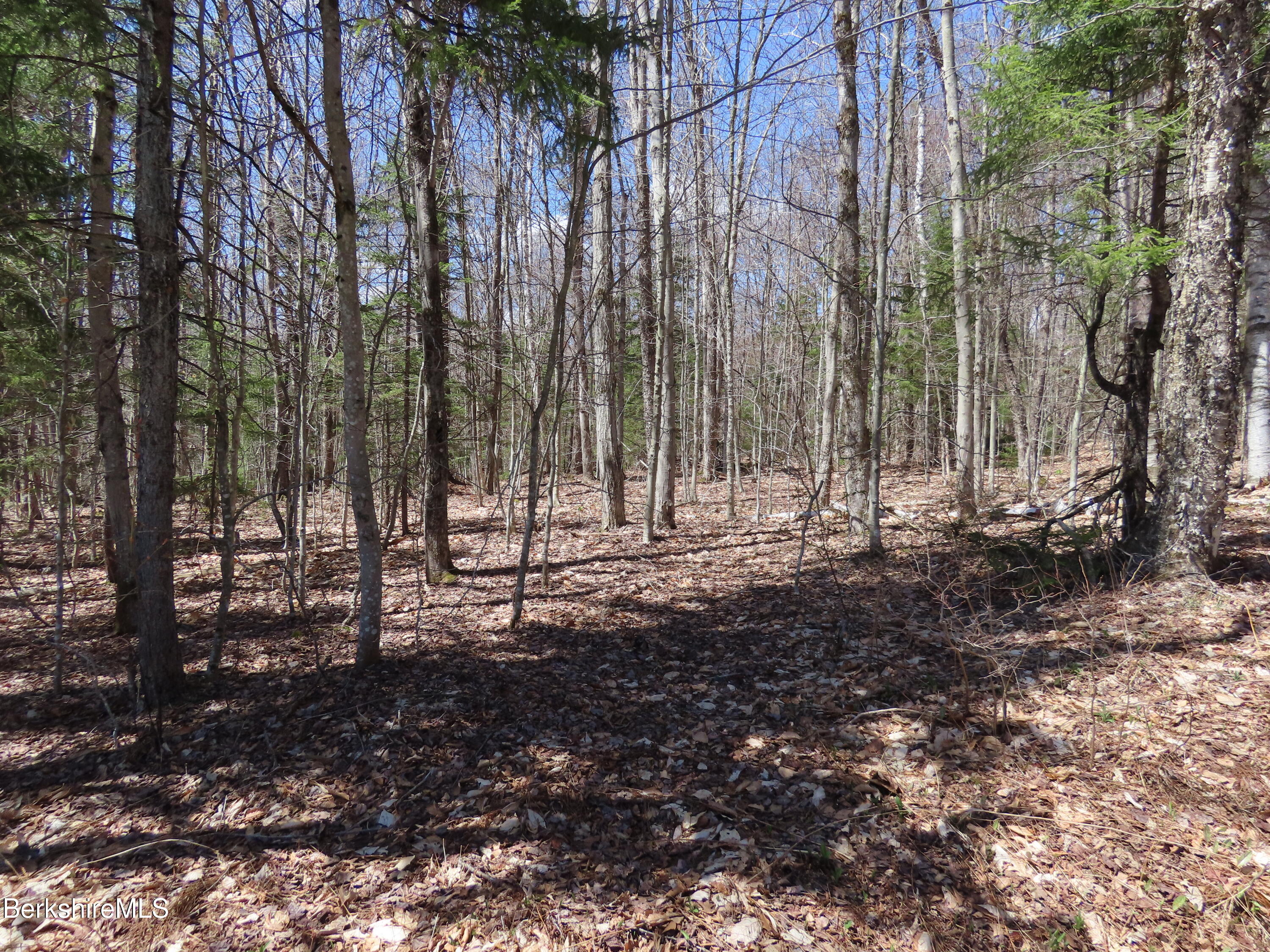 Blackstone Road North Adams, MA 01247 - Photo 6 of 16 a view of backyard with green space