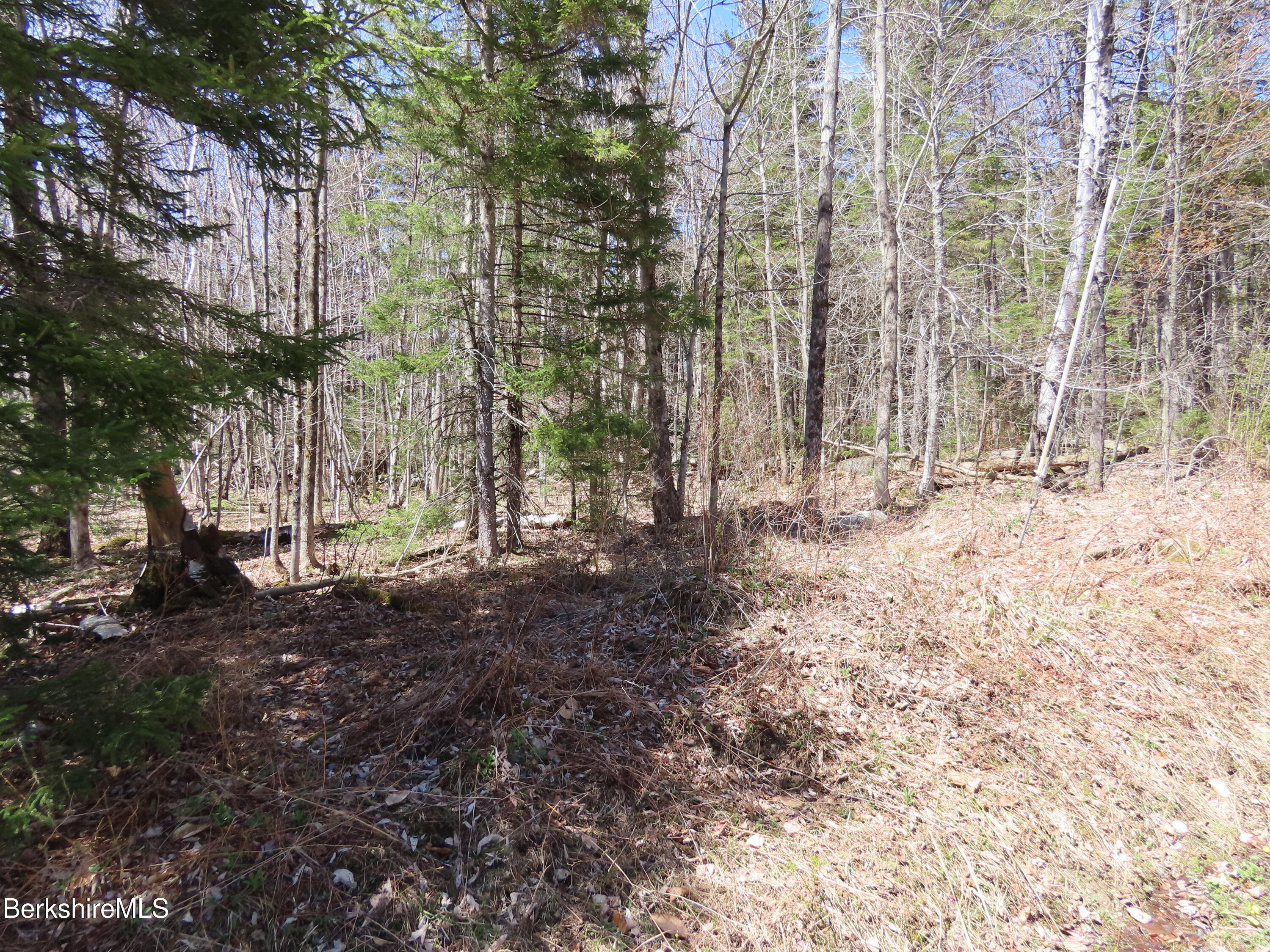 Blackstone Road North Adams, MA 01247 - Photo 7 of 16 a view of a yard with trees