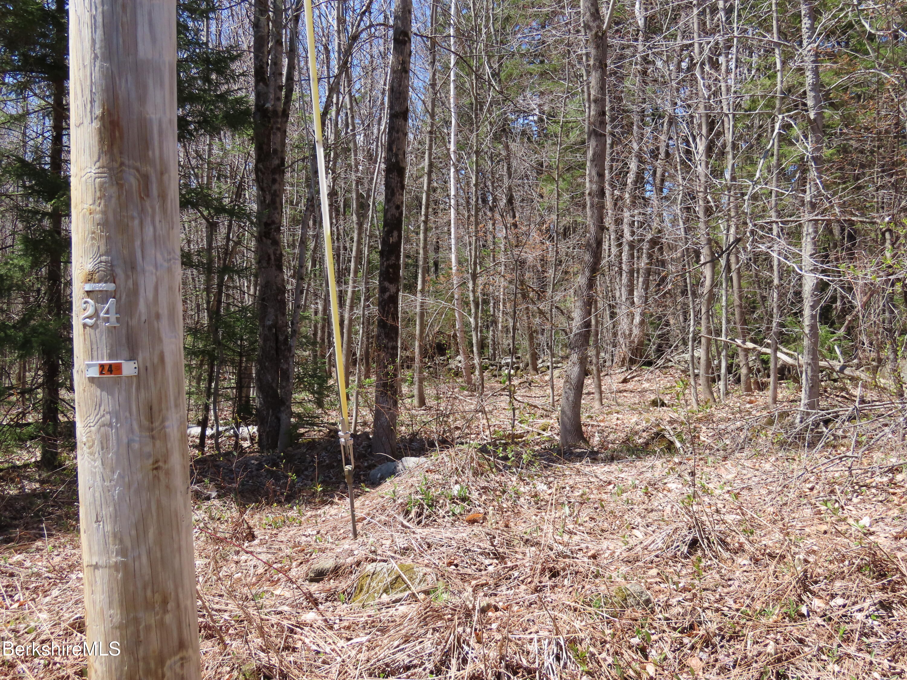 Blackstone Road North Adams, MA 01247 - Photo 9 of 16 a view of a backyard of the house
