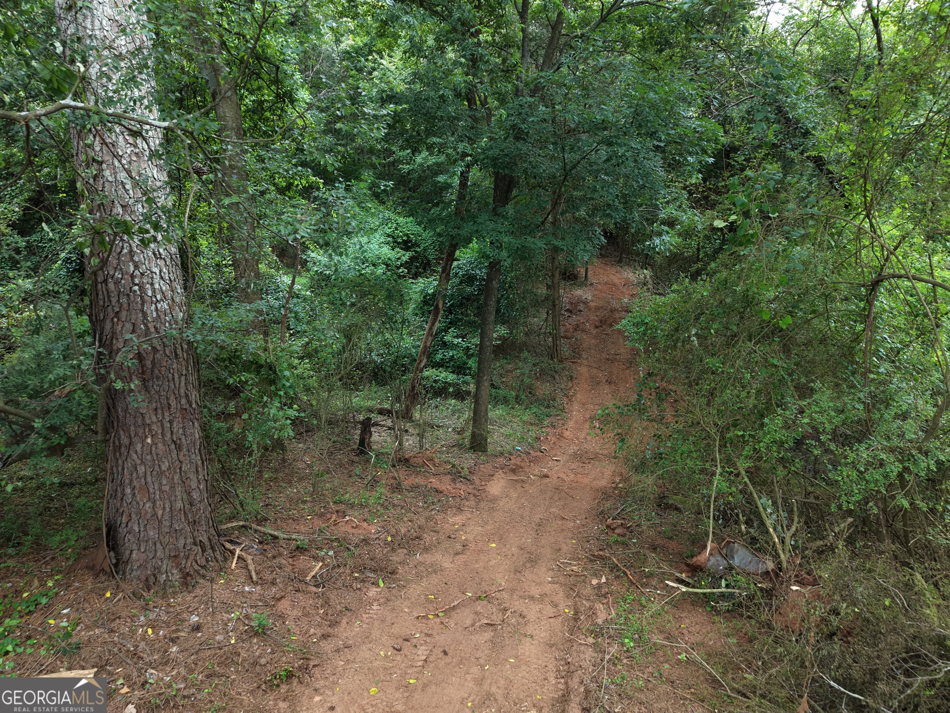 1590 James Adams Road Danielsville, GA 30633 - Photo 10 of 98