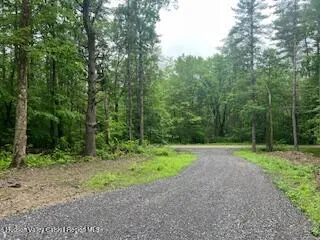 a view of outdoor space with trees all around