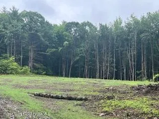 a view of a grassy field with trees in the background