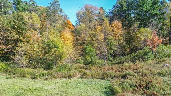 $29,900 | 6864 Highway 3, Diana, NY 13648