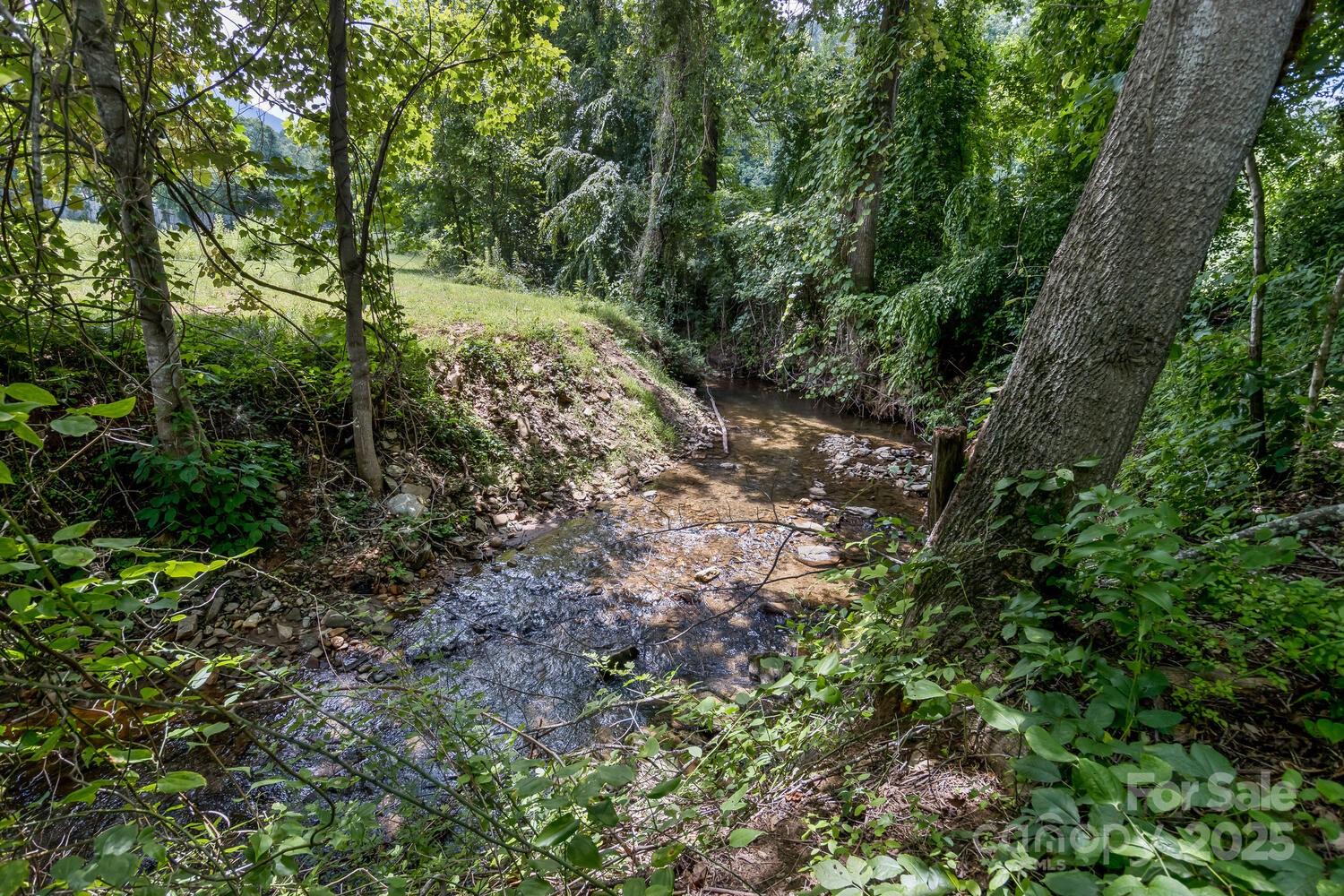 170 Beaverdam Loop Road Candler, NC 28715 - Photo 37 of 47 Gallery Image 37
