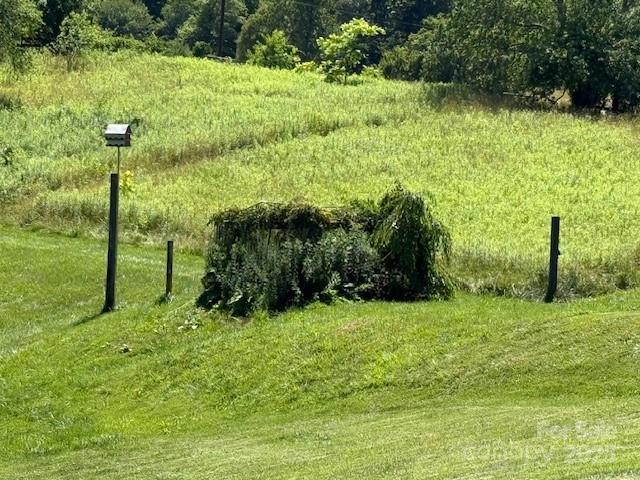 170 Beaverdam Loop Road Candler, NC 28715 - Photo 42 of 47 Gallery Image 42