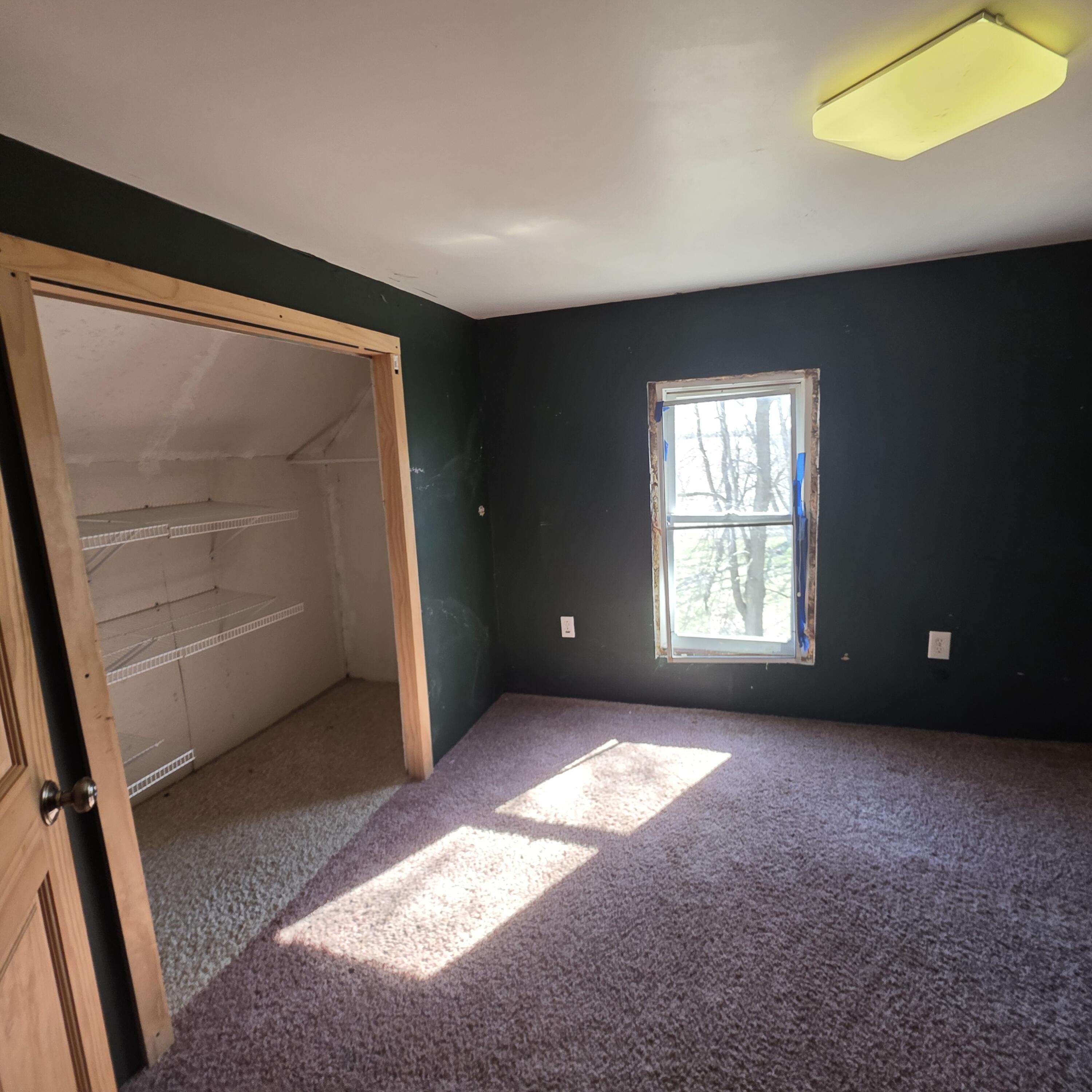 992 East Polk Road Hart, MI 49420 - Photo 25 of 41 20260409_104817