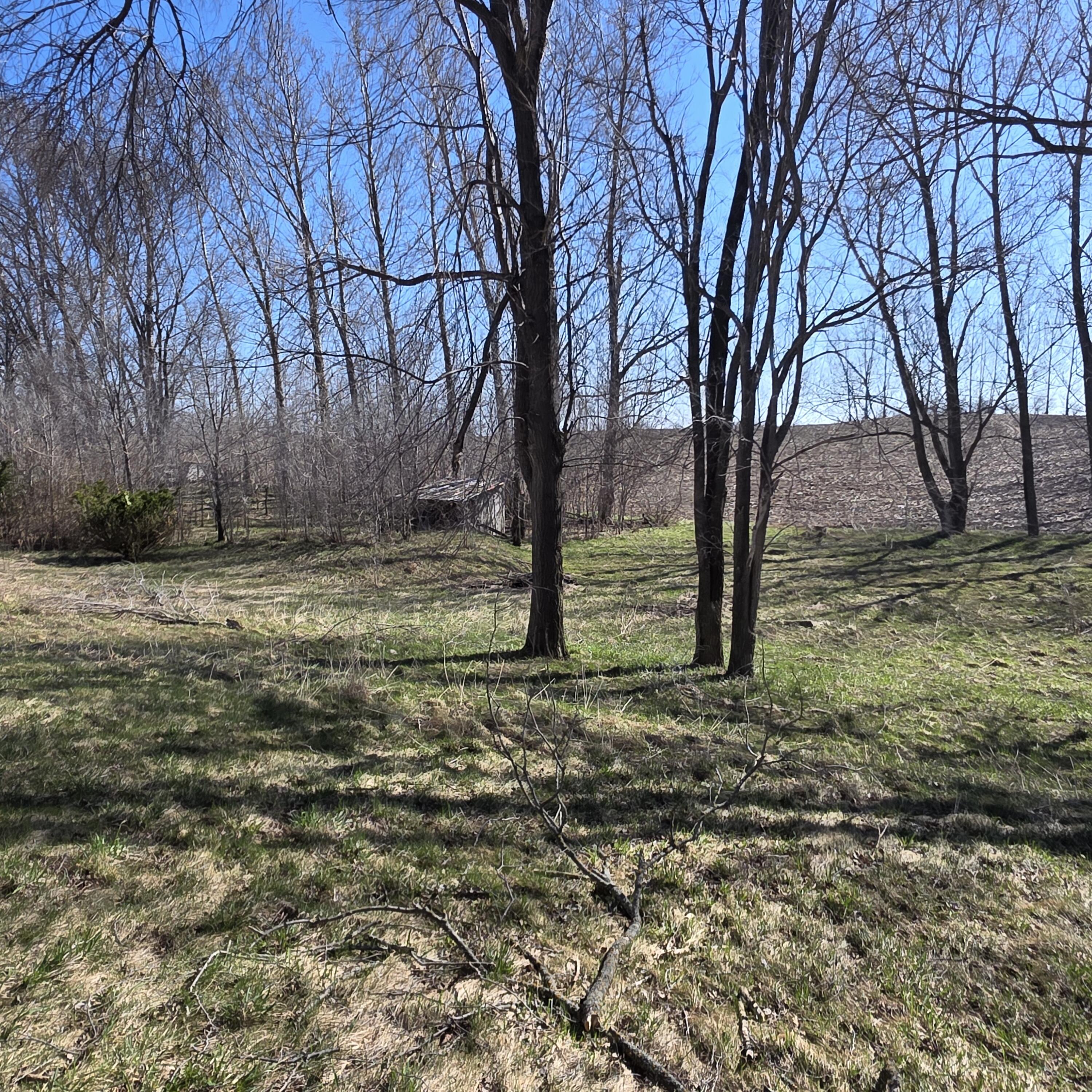 992 East Polk Road Hart, MI 49420 - Photo 37 of 41 20260409_103830