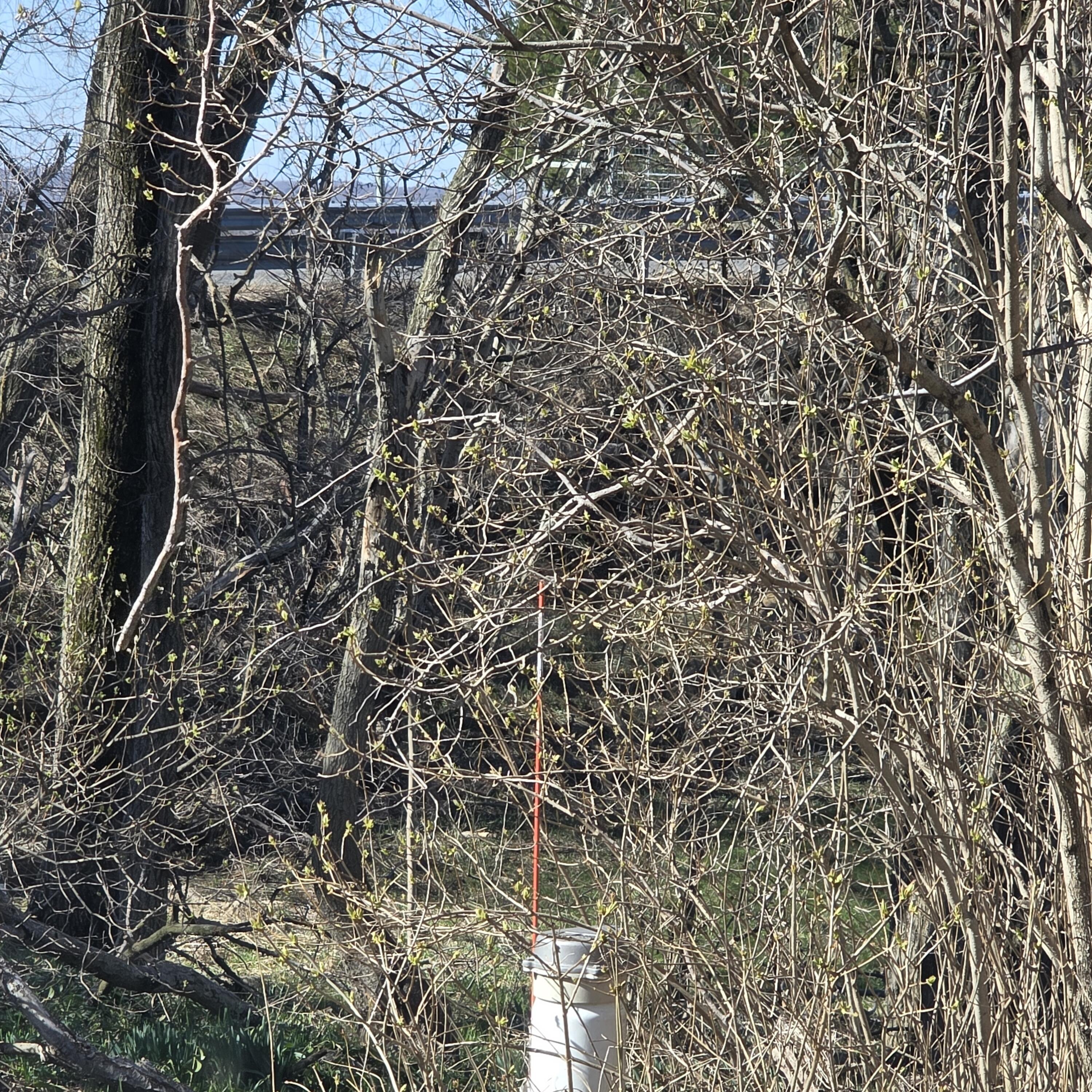 992 East Polk Road Hart, MI 49420 - Photo 38 of 41 20260409_105128