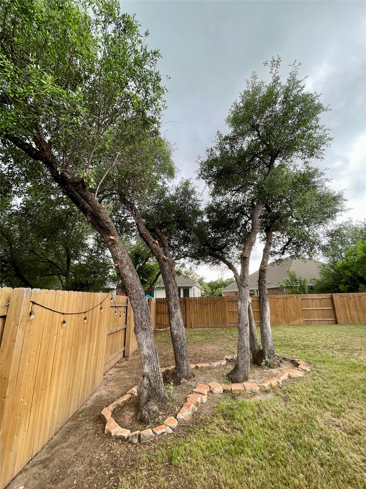 120 Sail Wind Way Georgetown, TX 78633 - Photo 23 of 25 a view of a yard with a tree