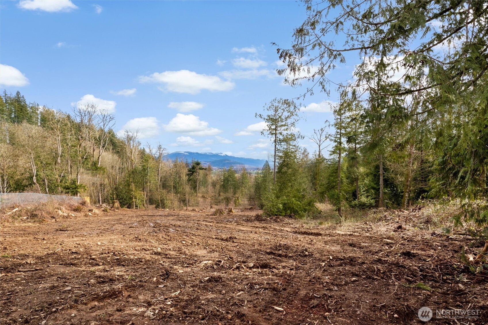 7220 Cliffside Lane Sedro-Woolley, WA 98284 - Photo 12 of 37 a view of a yard with a tree