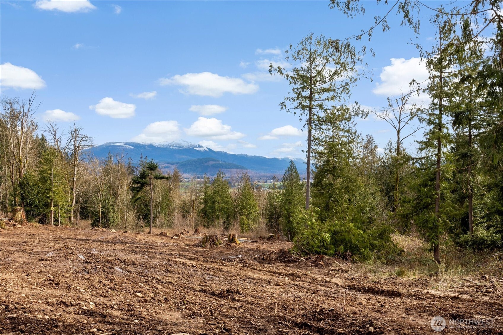 7220 Cliffside Lane Sedro-Woolley, WA 98284 - Photo 13 of 37 a view of a yard with a tree