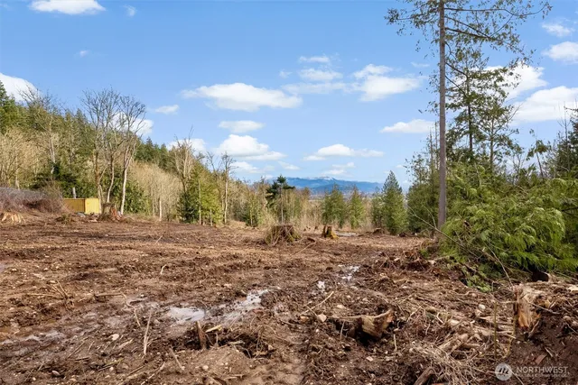a view of a yard with a house