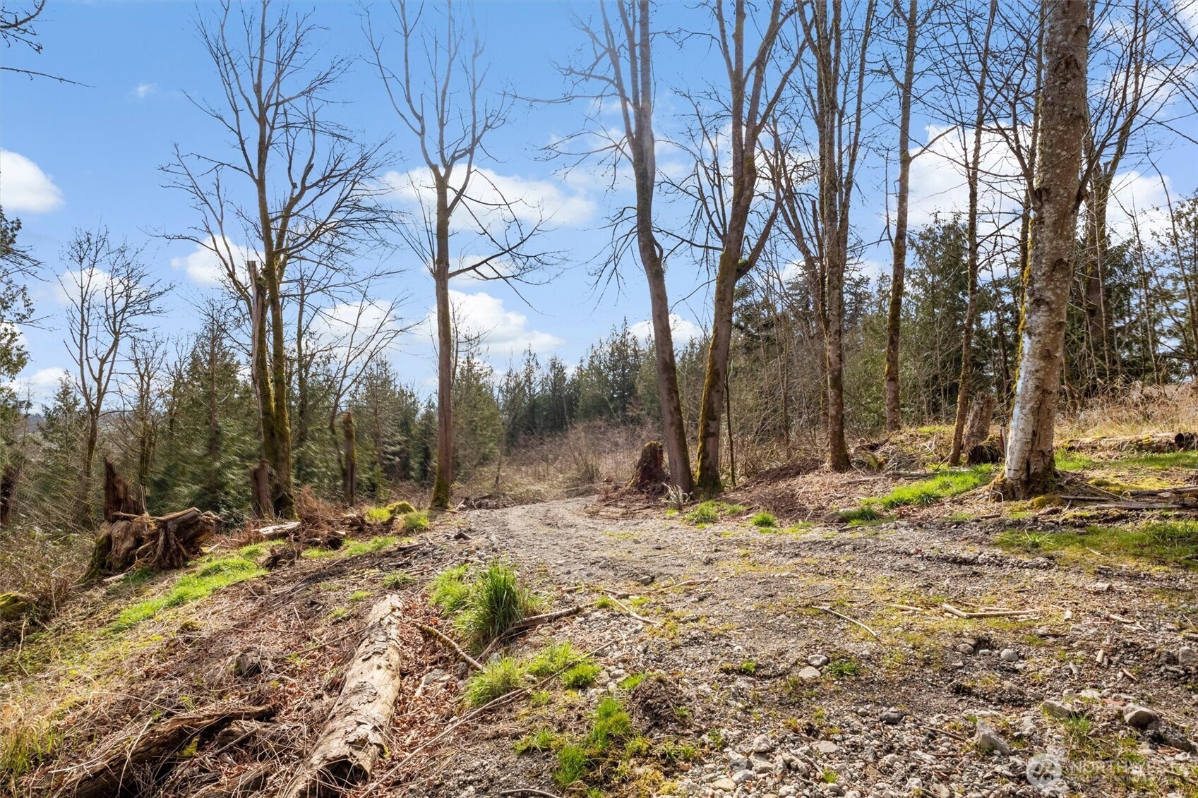 7220 Cliffside Lane Sedro-Woolley, WA 98284 - Photo 18 of 37 a view of a yard with snow on the road