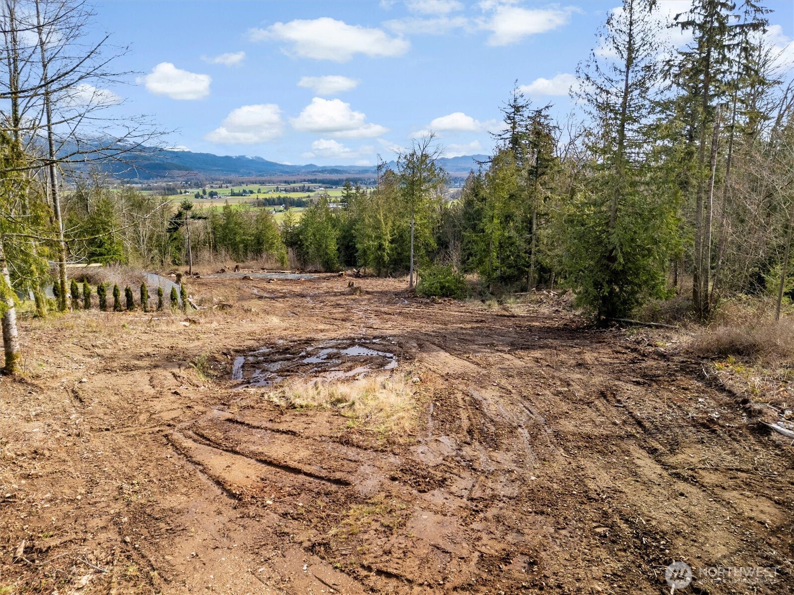 7220 Cliffside Lane Sedro-Woolley, WA 98284 - Photo 20 of 37 a view of a yard with a tree