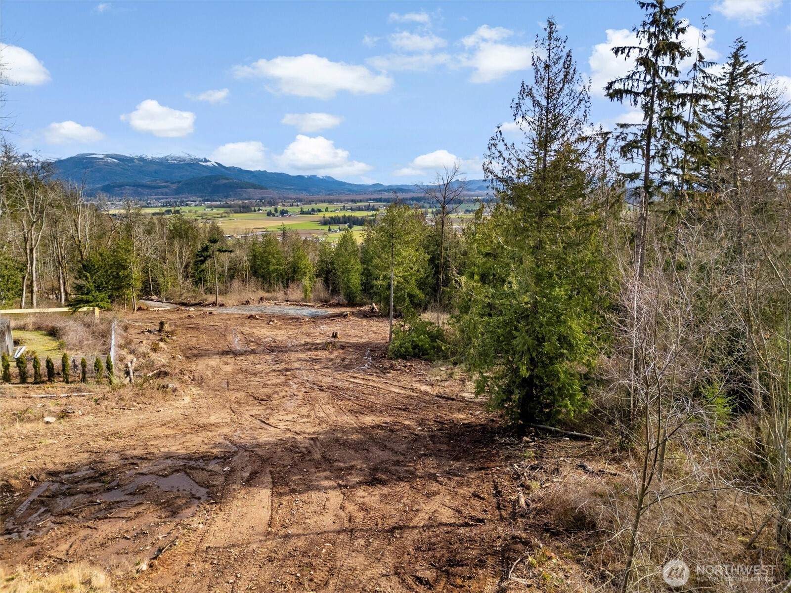 7220 Cliffside Lane Sedro-Woolley, WA 98284 - Photo 21 of 37 a view of a yard with a tree