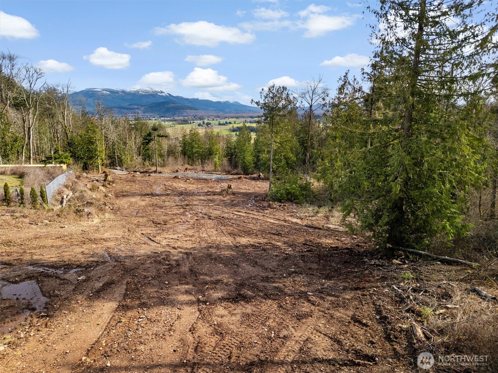 7220 Cliffside Lane Sedro-Woolley, WA 98284 - Photo 22 of 37 a view of a yard with a tree