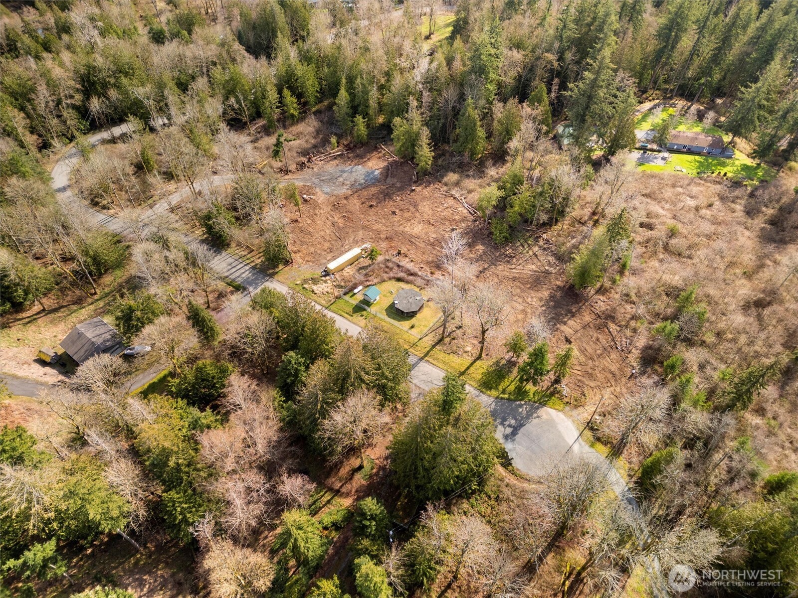 7220 Cliffside Lane Sedro-Woolley, WA 98284 - Photo 28 of 37 a view of a yard with a tree