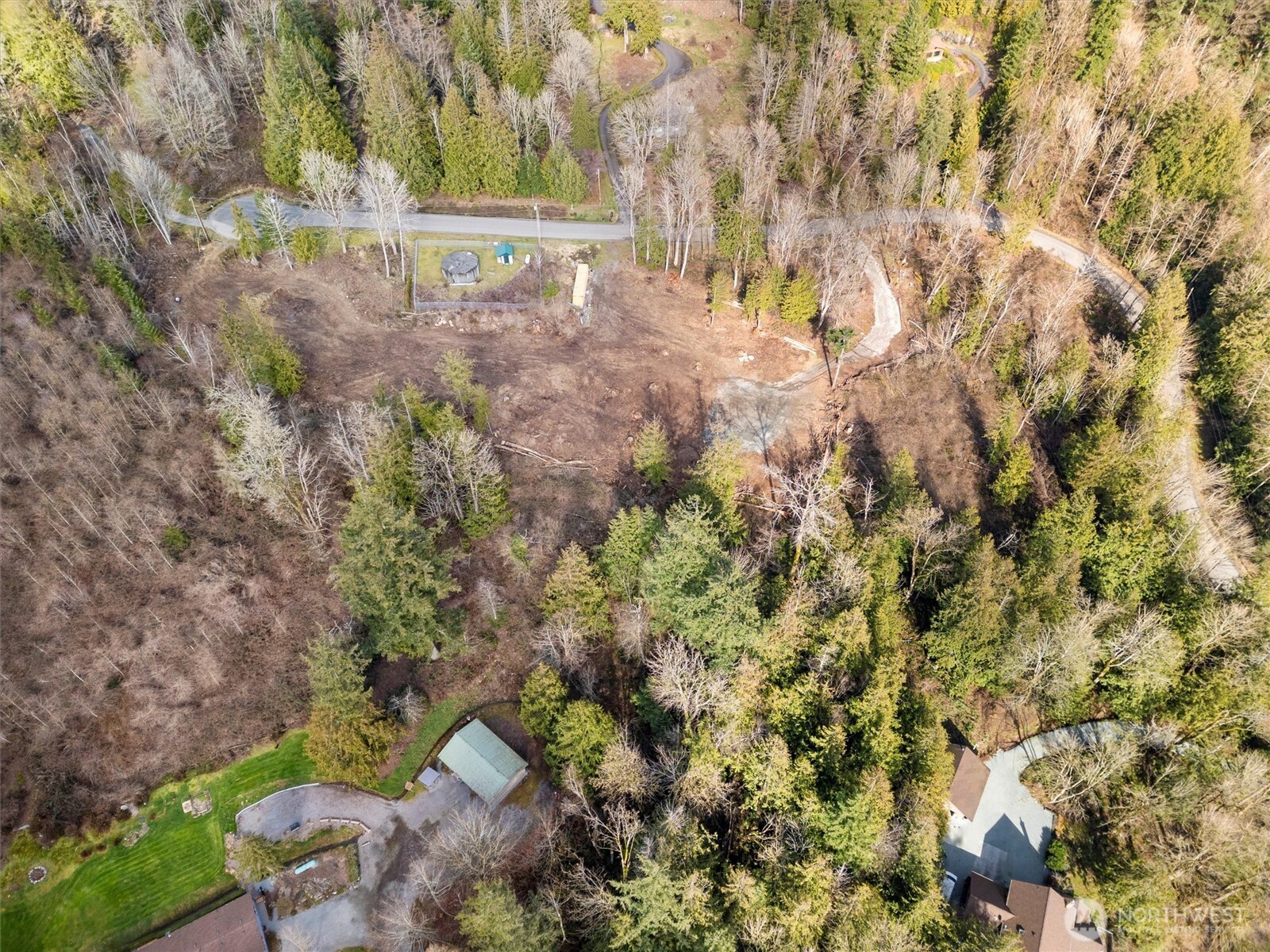 7220 Cliffside Lane Sedro-Woolley, WA 98284 - Photo 4 of 37 a view of a yard with plants and large trees