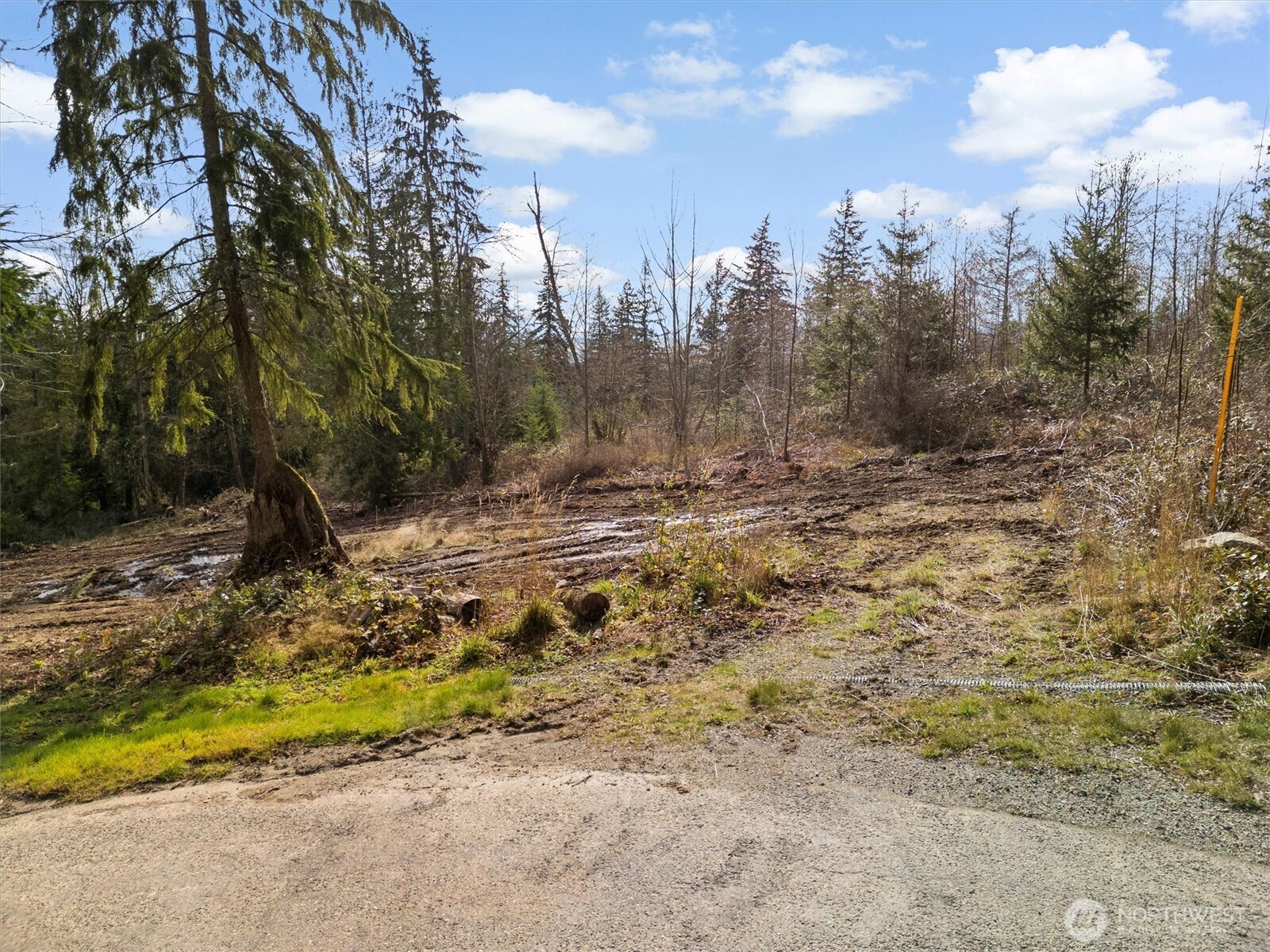 7220 Cliffside Lane Sedro-Woolley, WA 98284 - Photo 8 of 37 a view of a yard with trees
