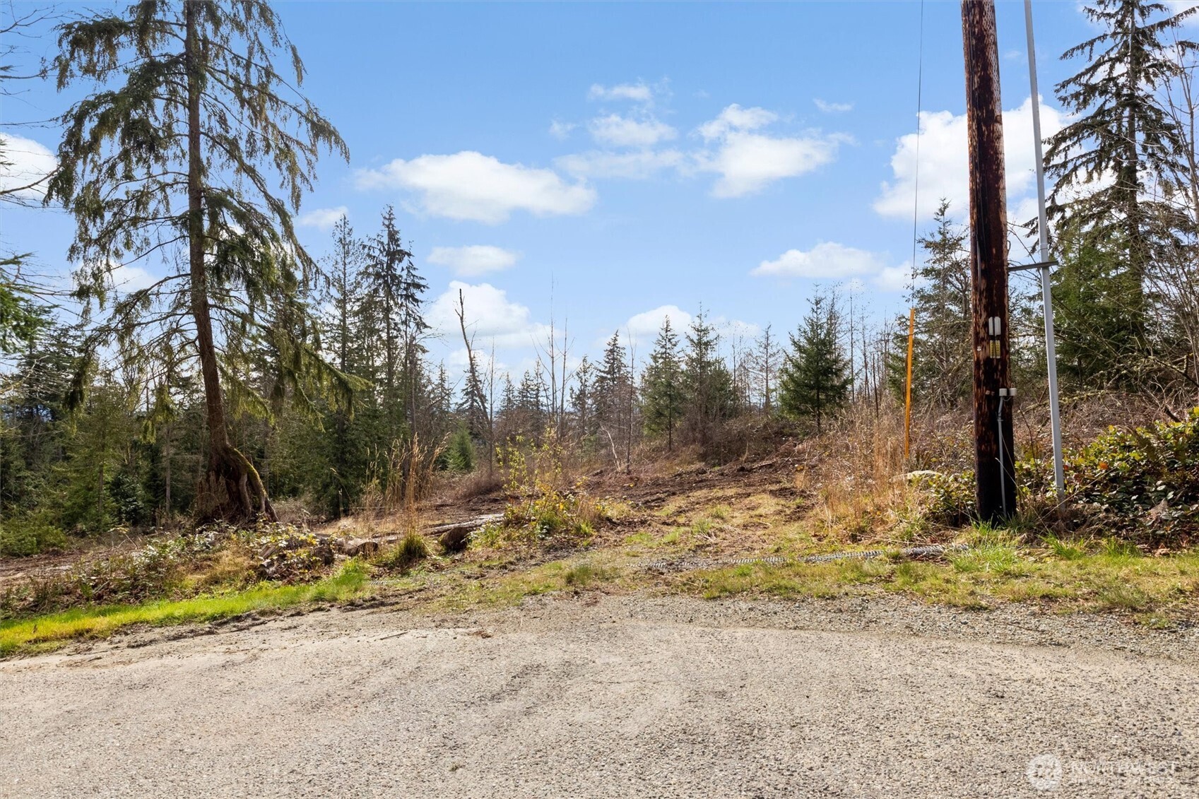 7220 Cliffside Lane Sedro-Woolley, WA 98284 - Photo 9 of 37 a view of a yard covered in snow