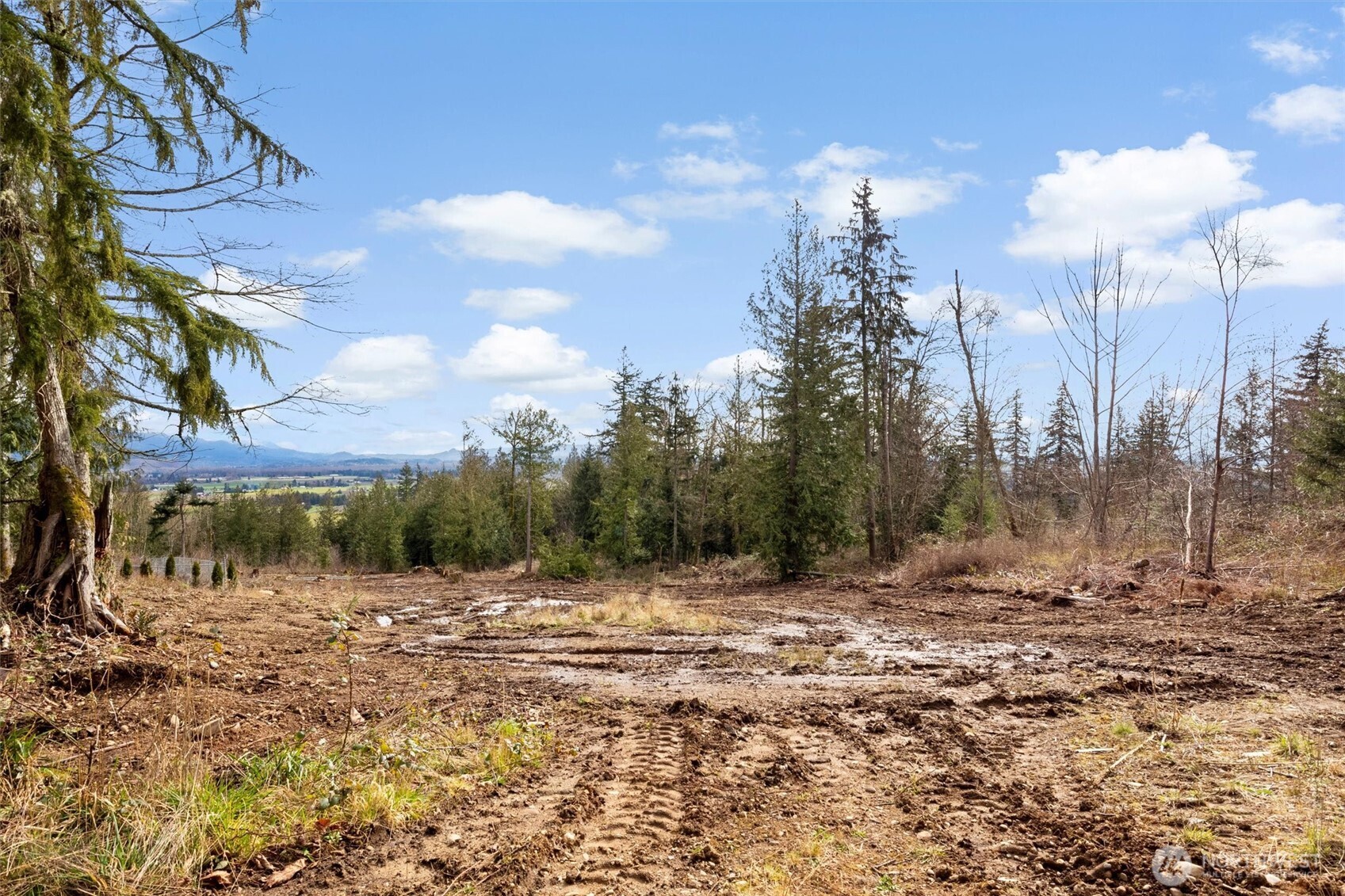 7220 Cliffside Lane Sedro-Woolley, WA 98284 - Photo 10 of 37 a view of a covered with trees
