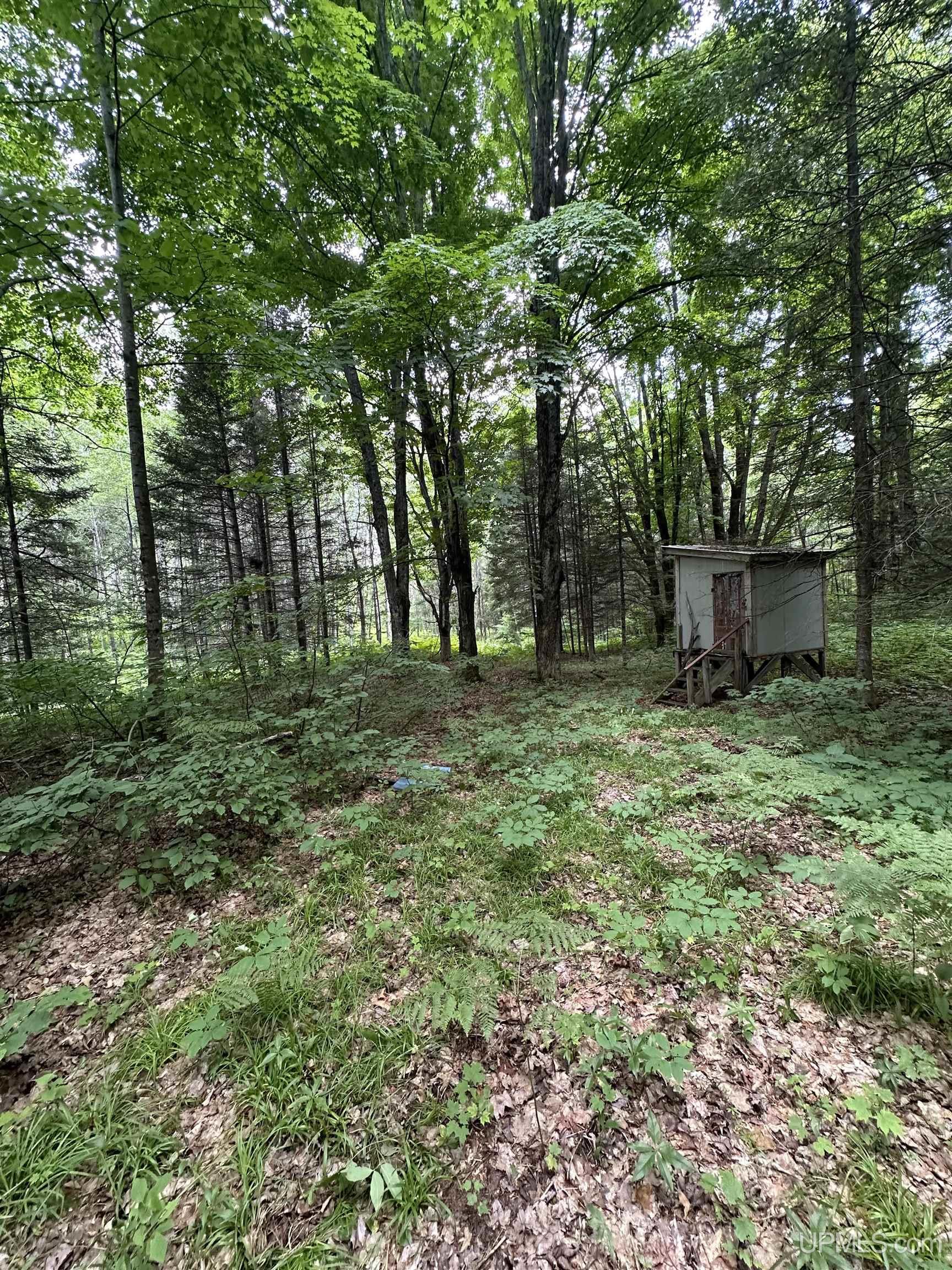 30664 Co Road Gwinn, MI 49841 - Photo 46 of 57