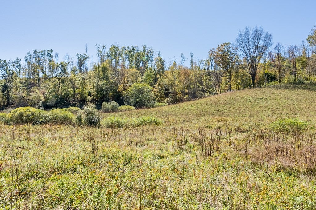 4-acres Carsonville Road Independence, VA 24348 - Photo 26 of 42 Gallery Image 26