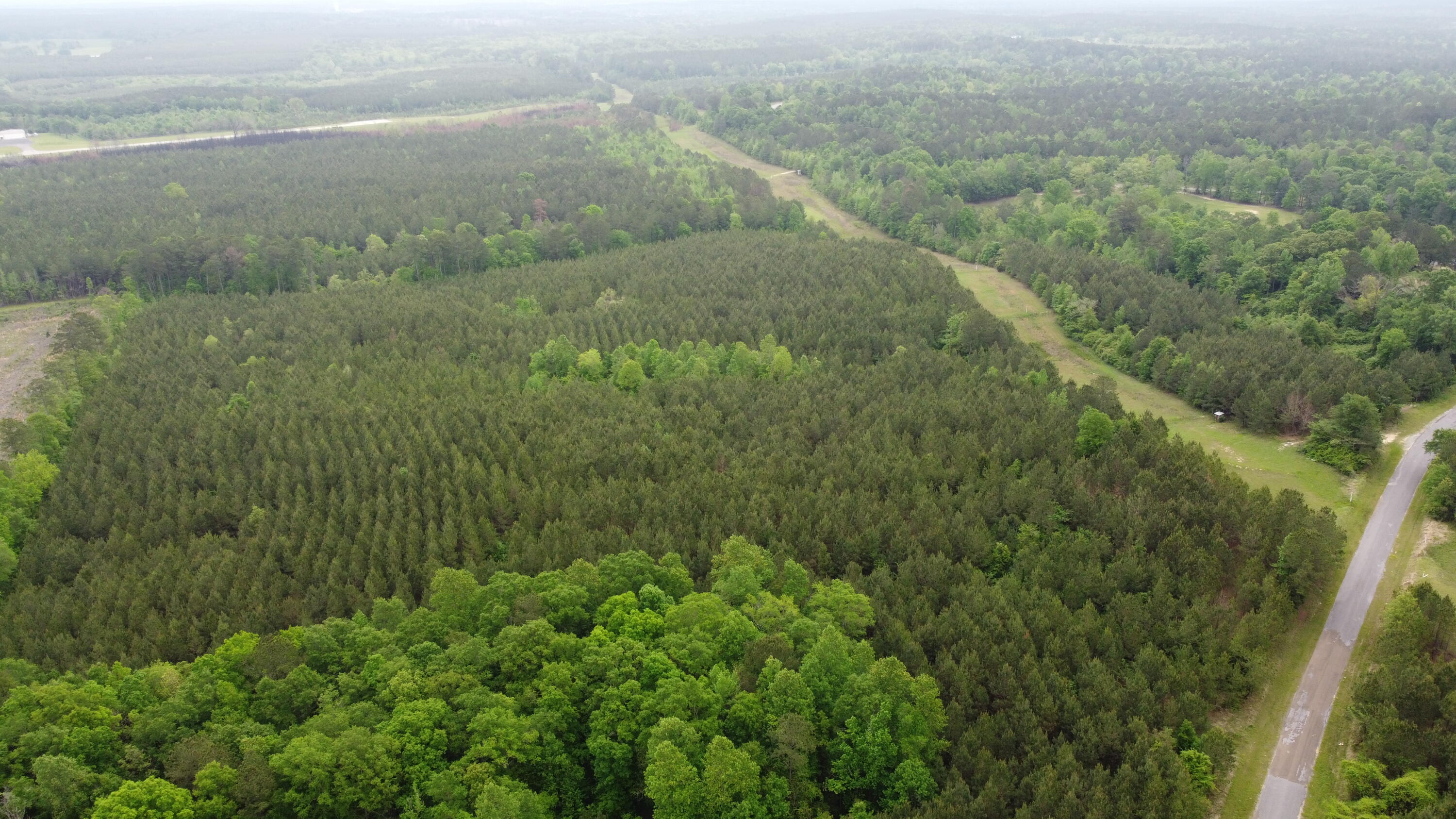 0 Co Road Bay Springs, MS 39422 - Photo 8 of 10 8