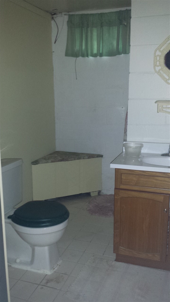 523 West Jackson Street Rensselaer, IN 47978 - Photo 21 of 26 Gallery Image 21