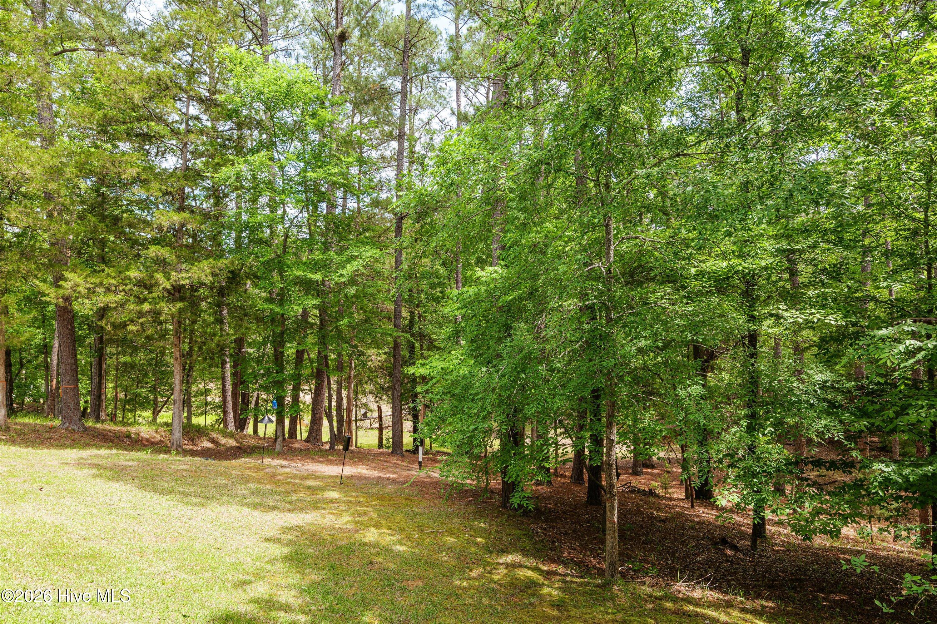 125 Lake Ridge Drive McCormick, SC 29835 - Photo 59 of 84 58-P2099215
