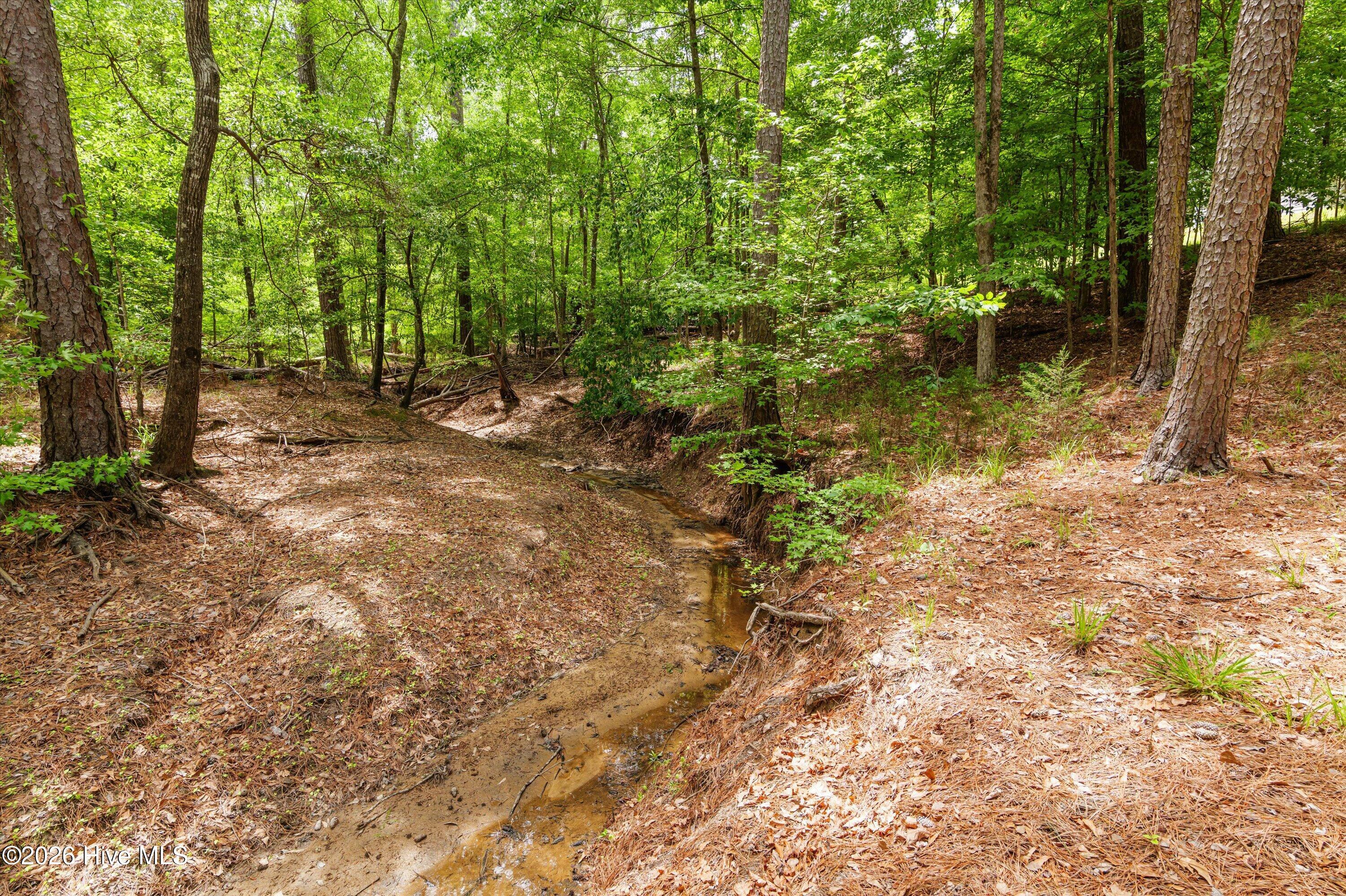 125 Lake Ridge Drive McCormick, SC 29835 - Photo 63 of 84 62-P2099219