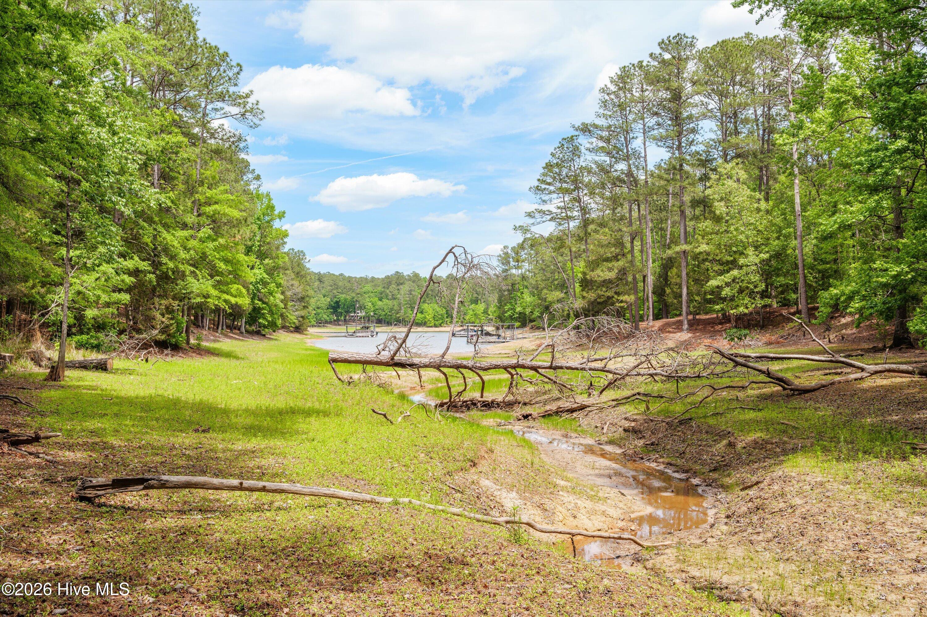 125 Lake Ridge Drive McCormick, SC 29835 - Photo 65 of 84 64-P2099221