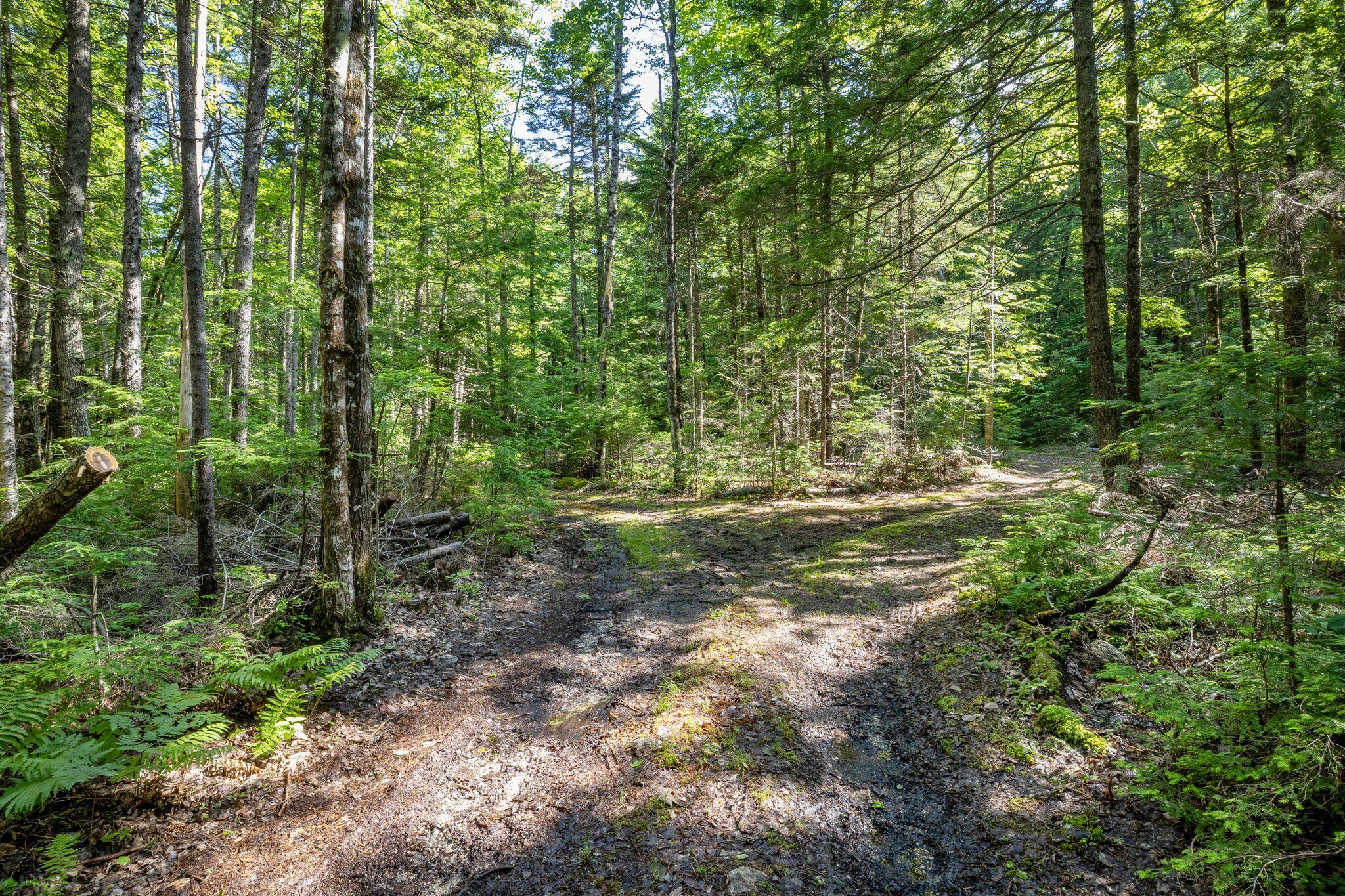 129 Hobbs Swamp Road Parsonsfield, ME 04047 - Photo 11 of 11 Hobb_Swamp_Rd_019