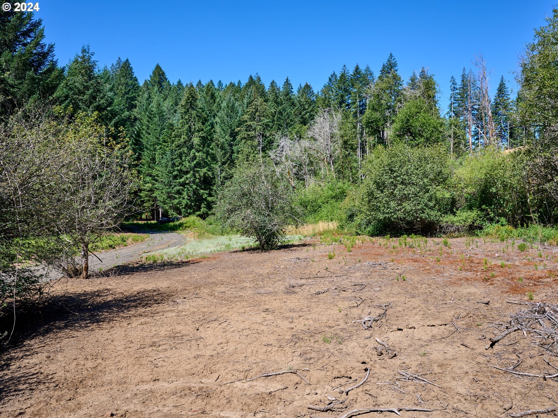 Coast Creek Road Willamina, OR 97396 - Photo 11 of 19