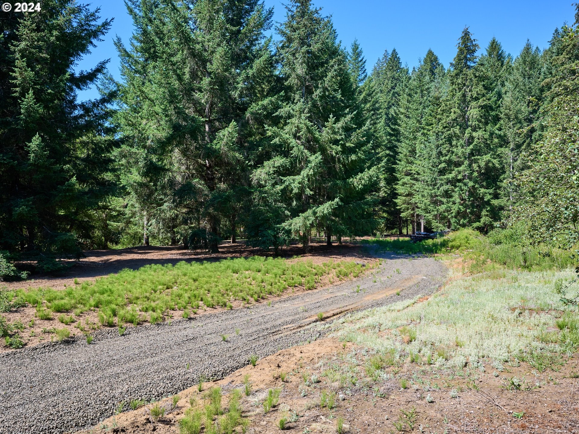 Coast Creek Road Willamina, OR 97396 - Photo 12 of 19