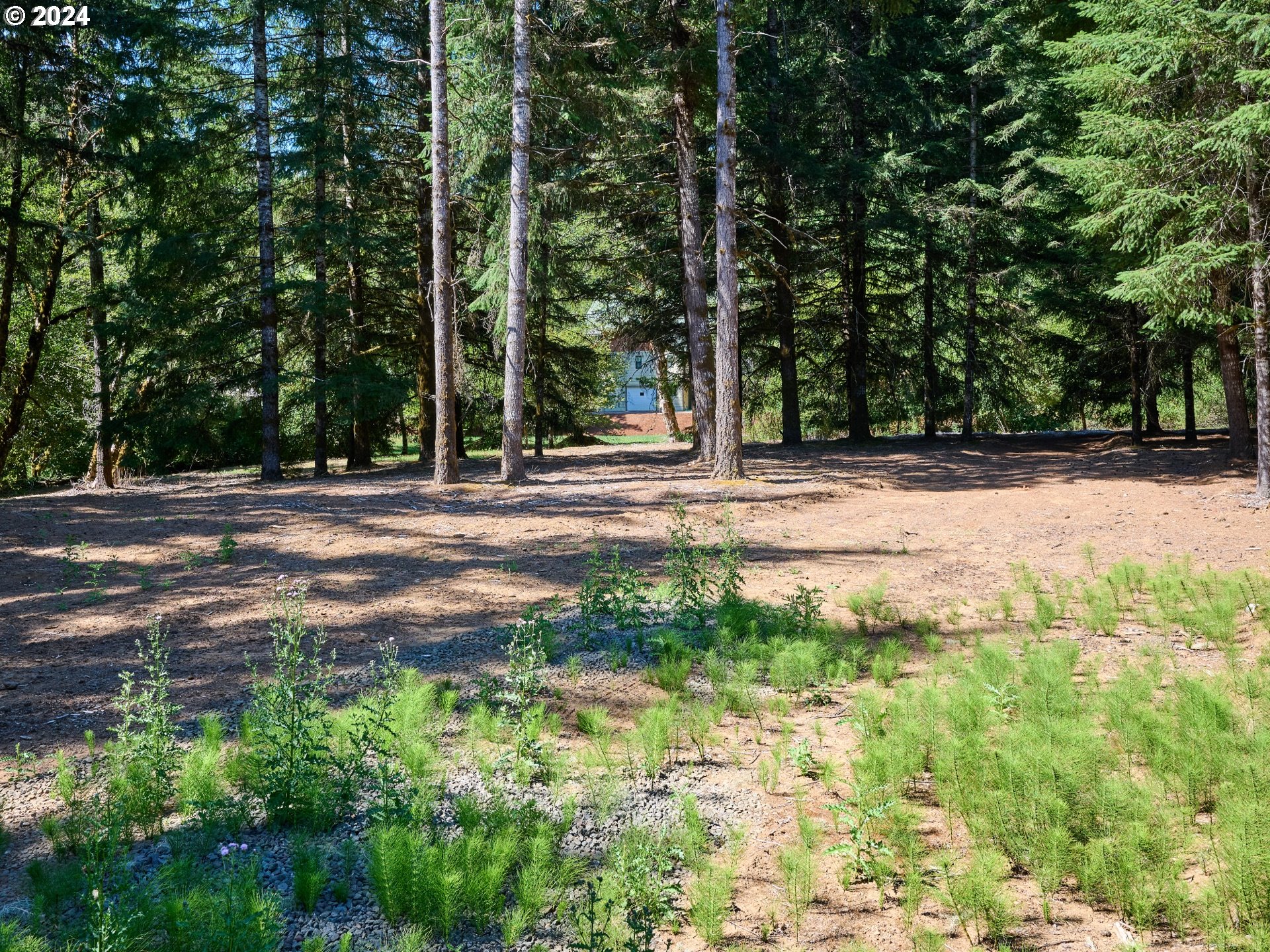 Coast Creek Road Willamina, OR 97396 - Photo 13 of 19