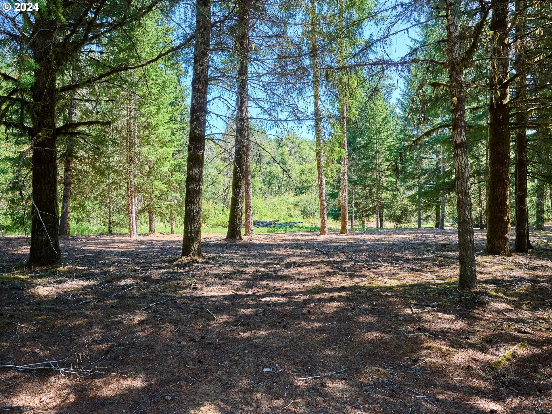 Coast Creek Road Willamina, OR 97396 - Photo 15 of 19